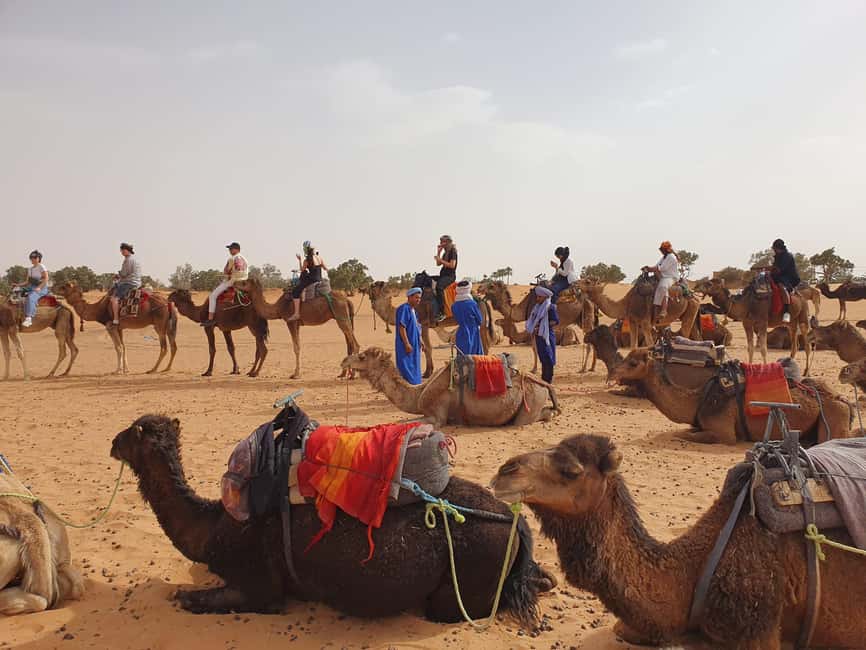 Image N°30 de Marrakech à Fès, circuit de 3 jours dans le désert à dos de chameau et en tente de luxe activité à Marrakech-Safi, publiée par le prestataire