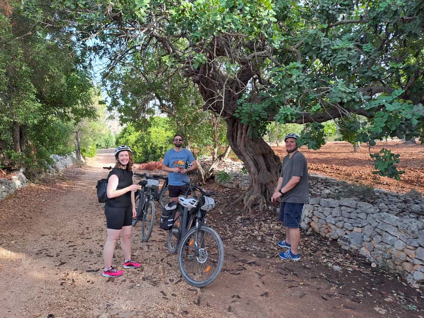 Immagine nº 5 di Ostuni: Tour in bicicletta con un bicchiere di vino e bruschetta attività a Ostuni, caricata dal fornitore