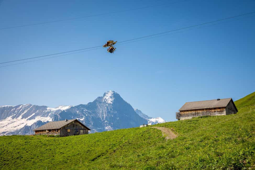 imagen n.º 8 de Desde Zúrich: Grindelwald Primer Teleférico e Interlaken actividad en Grindelwald, subida por el proveedor