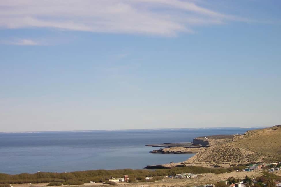 Bild Nr. 3 von Ab Puerto Madryn: Tagestour nach Punta Tombo mit Hoteltransfer Aktivität in Chubut Provinz, hochgeladen vom Anbieter