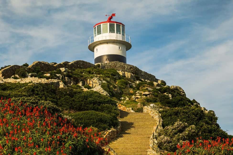 image n.8 of Cape Town: Boulders Beach & Cape Point Full-Day Small Group activity in Cape Town, uploaded by supplier