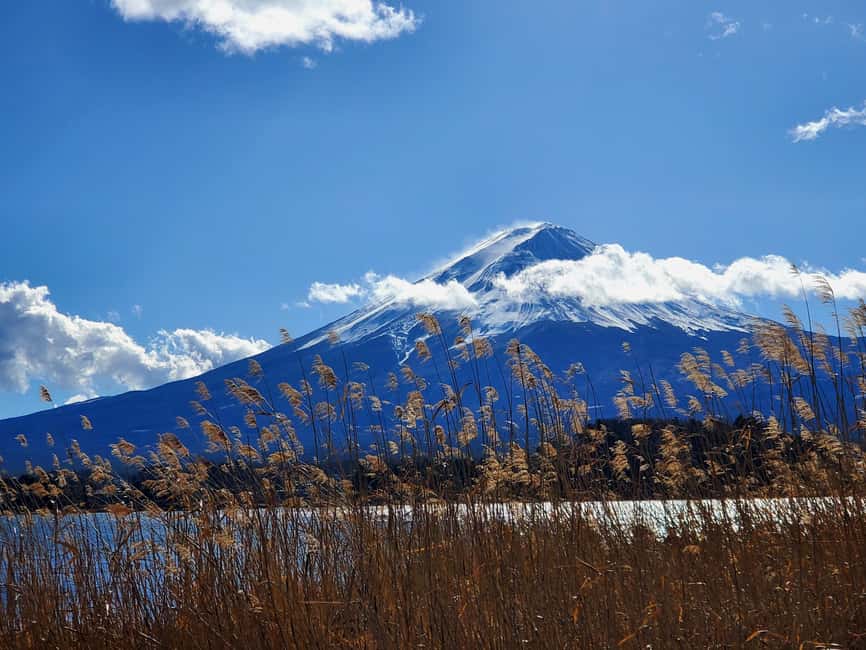 image n.15 of Mount Fuji Full-Day Private Tour from Yokohama Customizable activity in Fujikawaguchiko, uploaded by supplier
