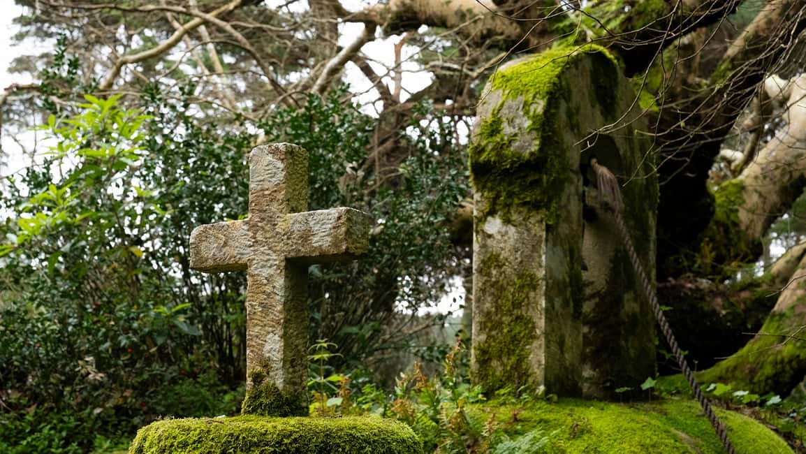 billede nr.7 af aktiviteten Den anden side af Sintra – Turen gennem de glemte skove i Sintra, uploadet af udbyder