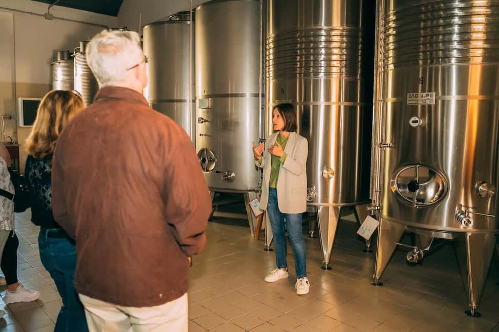 image n.14 of From Venice: Prosecco Wine Region Tour with 2 Tastings activity in Venice, uploaded by supplier