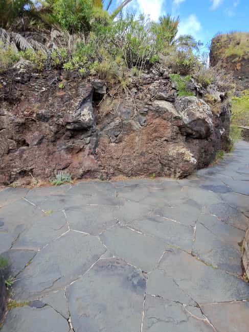 image n.30 of Private Bandama Caldera, Botanic Garden(/Wine*), Old Town activity in Las Palmas, uploaded by supplier