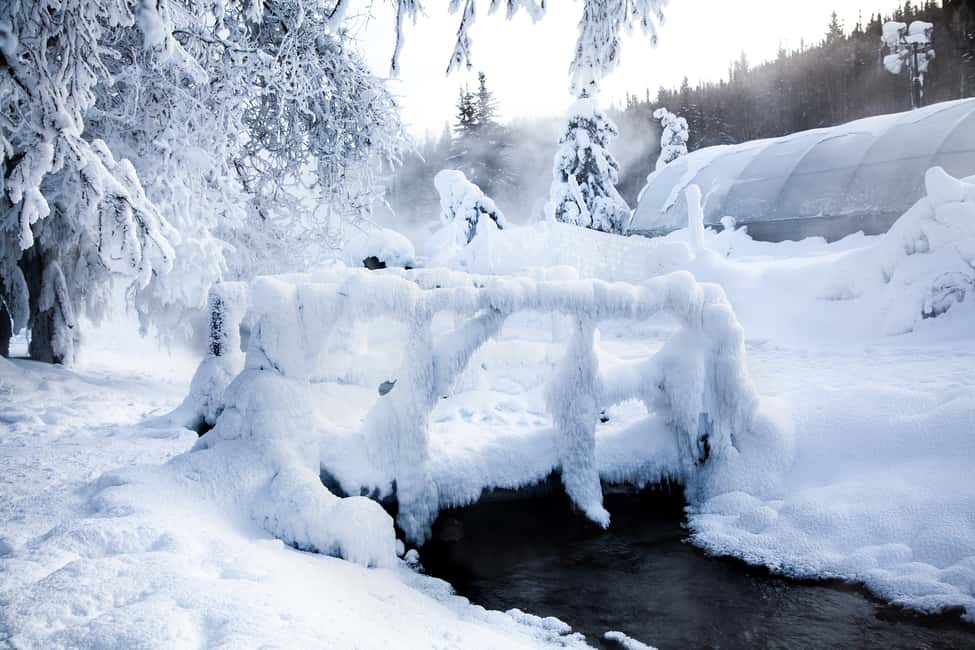 image n.4 of Full Day Ice Museum and Chena Hot Springs Tour activity in Fairbanks, uploaded by supplier