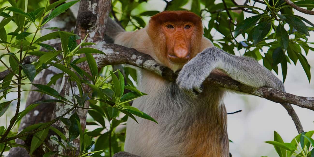 VKontakte-da Natasha Qirolicha porno