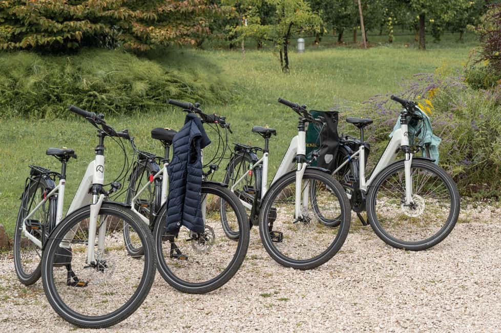 Francoforte: Noleggio di biciclette o E-Bike per un giorno intero