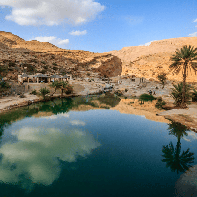 Immagine nº 7 di Muscat: tour di un giorno nel deserto di Wahiba Sands e Wadi Bani Khalid attività a Regione al-Sharqiyya, caricata dal fornitore