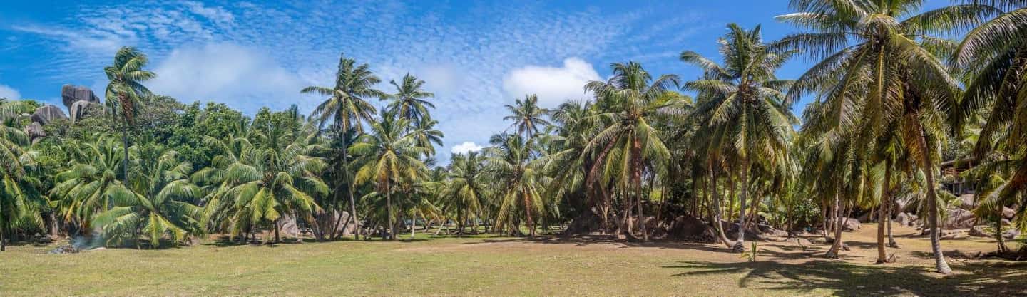 image n.9 of Praslin: Sister & Coco Island Full-Day Cruise and Creole BBQ activity in Mahé, uploaded by supplier