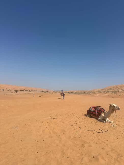 Immagine nº 22 di Muscat: giro in cammello al tramonto nel deserto di Bidiya con trasferimento attività a Regione al-Sharqiyya, caricata dal fornitore