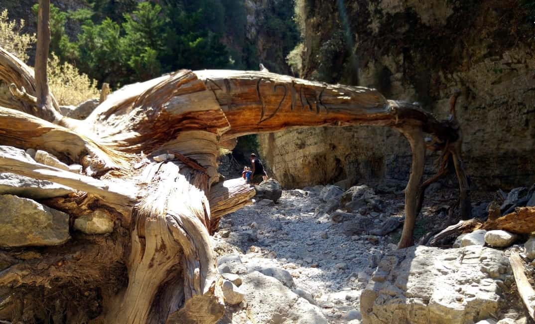 Immagine nº 7 di Da Rethymno/Chania: Escursione alle Gole di Imbros attività a Creta, caricata dal fornitore
