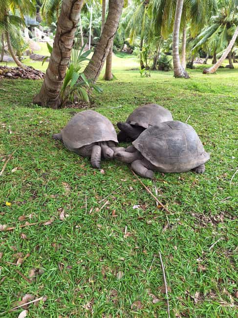 image n.28 of Praslin: Sister & Coco Island Full-Day Cruise and Creole BBQ activity in Mahé, uploaded by supplier