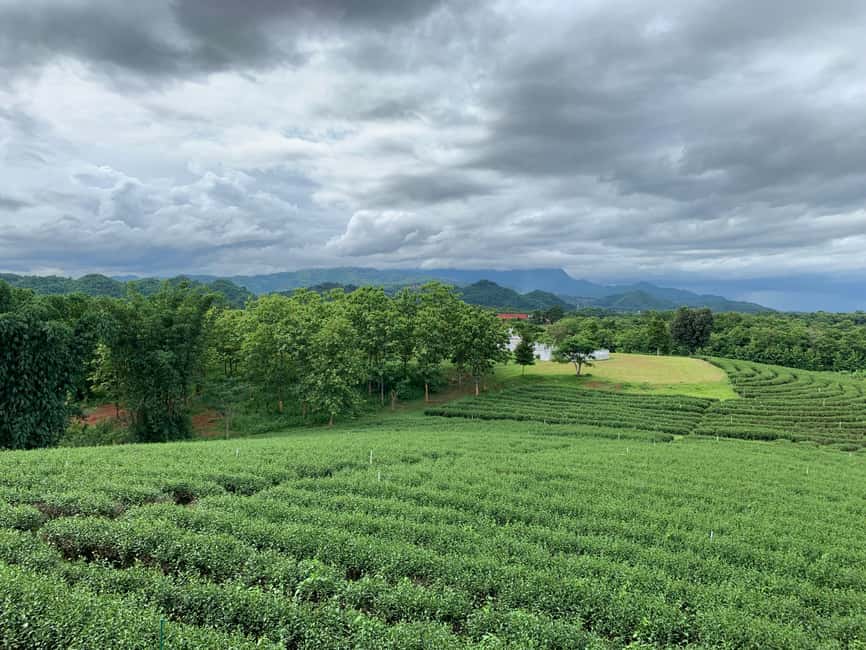 image n.38 of Chiang Rai Discovery:7 Attractions, Tickets & Lunch Included activity in Chiang Rai, uploaded by supplier