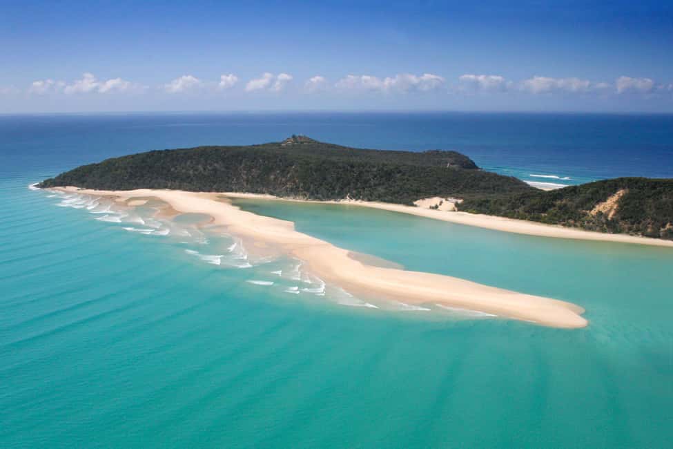 image n.16 of Noosa: Dolphin Sea Kayak & Beach 4X4 Tour (in National Park) activity in Gympie, uploaded by supplier