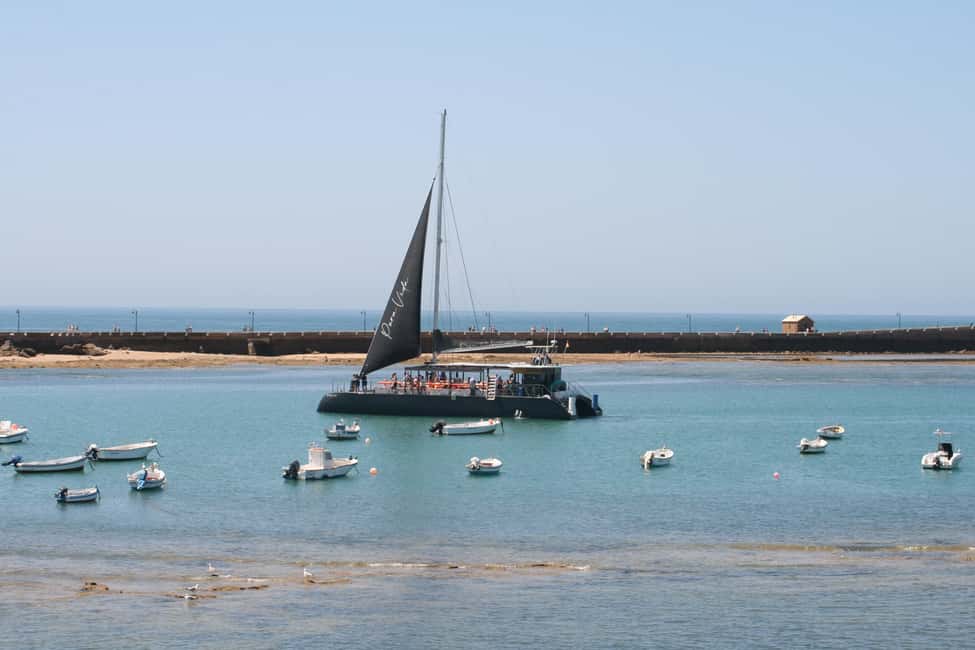 imagen n.º 2 de Cádiz: Excursión en Catamarán por la Bahía de Cádiz con Anfitrión actividad en Cádiz, subida por el proveedor