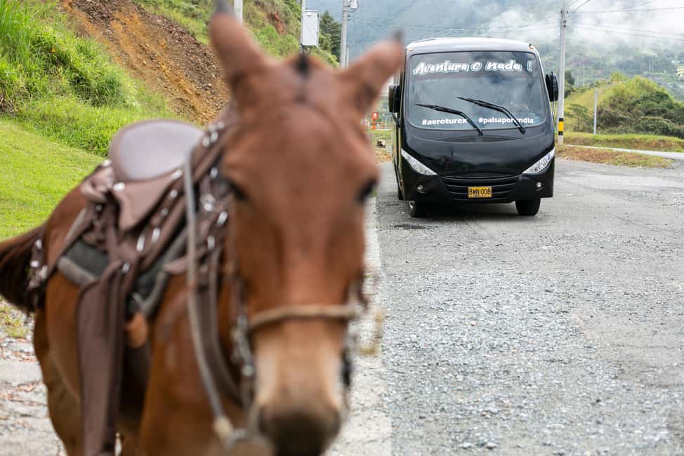 imagem n.65 de Medellín: Tour do café, chegada a cavalo e cana-de-açúcar atividade em Medellín, carregada pelo fornecedor