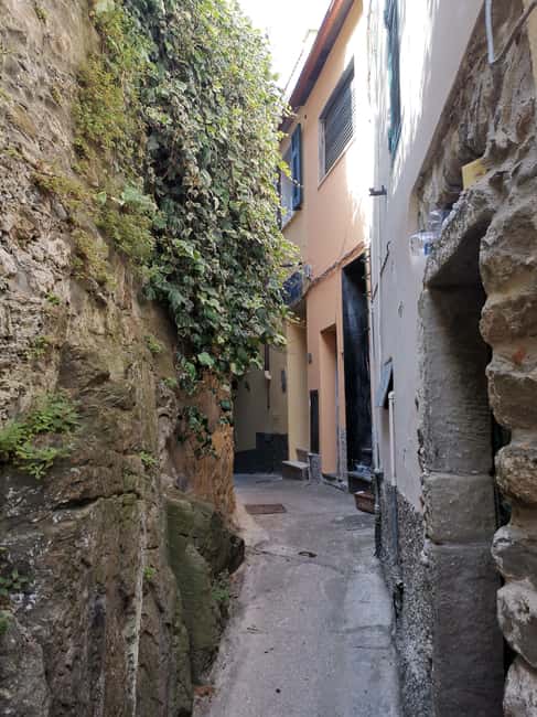Immagine nº 18 di Da Firenze: Tour per piccoli gruppi alle Cinque Terre e a Pisa attività a Pisa, caricata dal fornitore