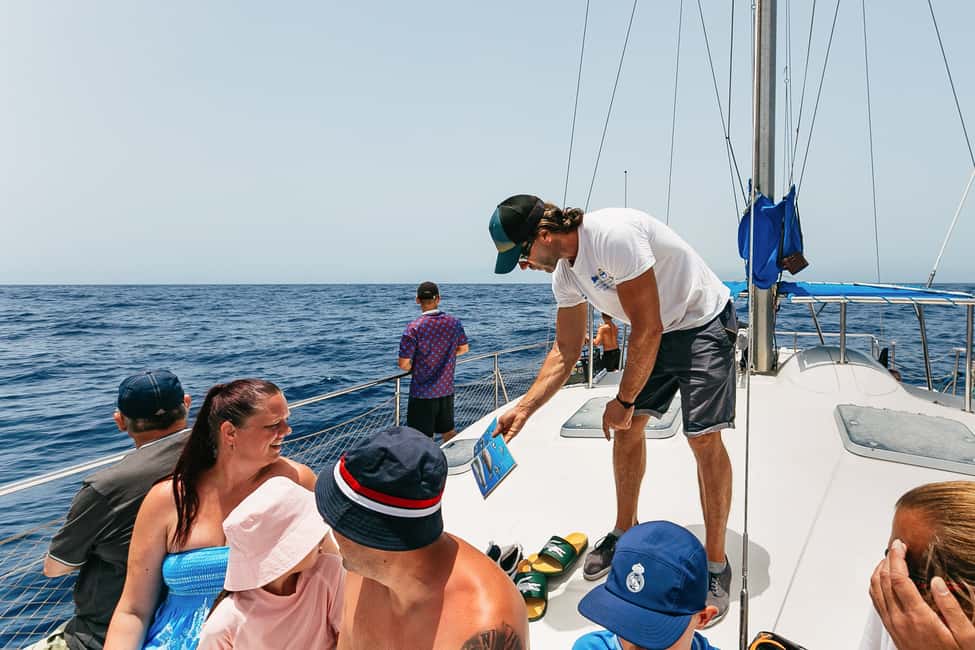 billede nr.20 af aktiviteten Costa Adeje: Hvalsafari med katamaran og drikkevarer i Costa Adeje, uploadet af udbyder