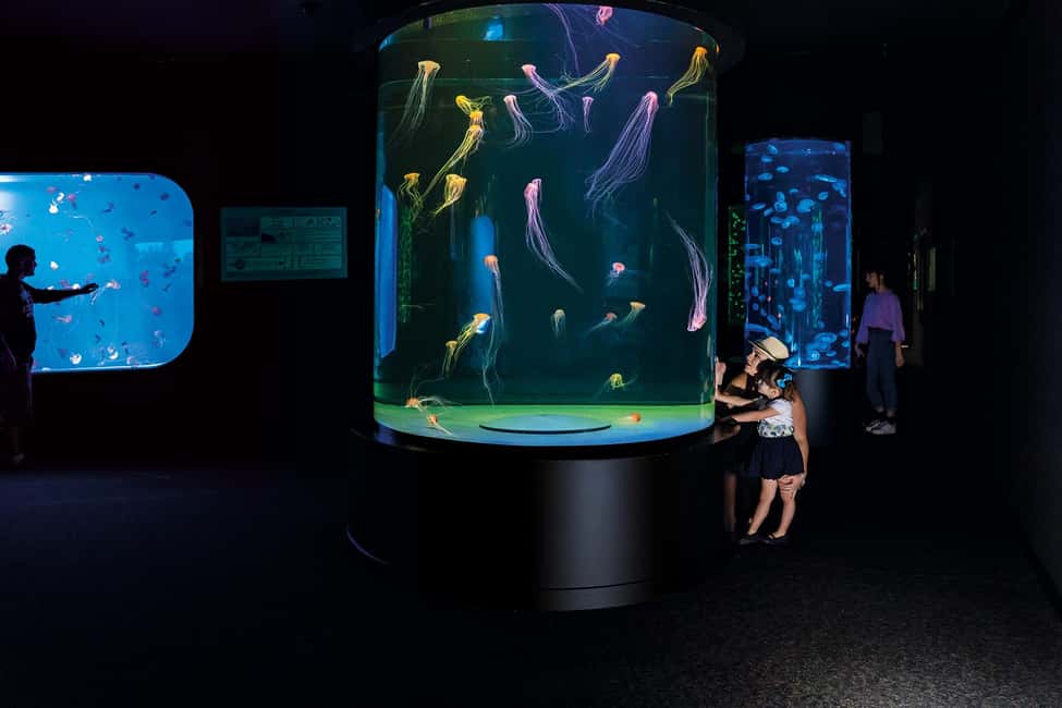 image n.19 of Tenerife: Loro Parque & Siam Park Entry Ticket with Transfer activity in Costa Adeje, uploaded by supplier