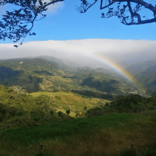 bild nr.6 av Privat transfer San José flygplats till/från Monteverde aktivitet i San José, Costa Rica, uppladdad av arrangören