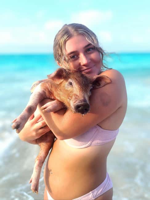 Image N°15 de Nassau : Cochons, plongée en apnée, tortues, déjeuner, club de plage privé activité à New Providence, publiée par le prestataire