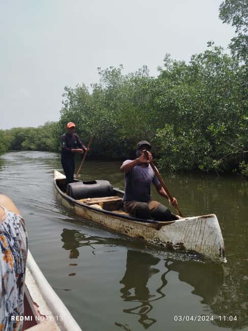 image n.12 of Cartagena: Sail in the mangroves of Cartagena activity in Cartagena, uploaded by supplier