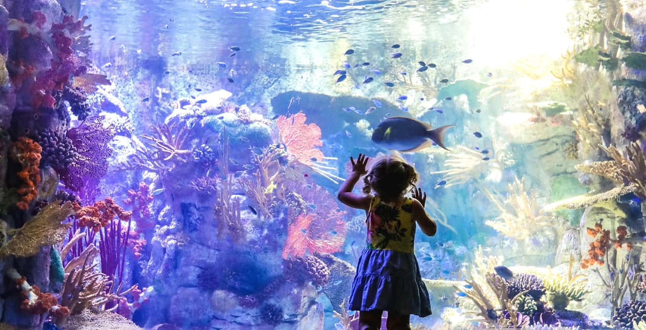 image n.8 of San Diego Explorer Pass: Save up to 50% on 45+ Attractions activity in San Diego, uploaded by supplier
