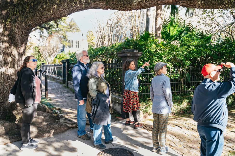 Immagine nº 11 di New Orleans: Tour guidato a piedi del Garden District attività a New Orleans, caricata dal fornitore