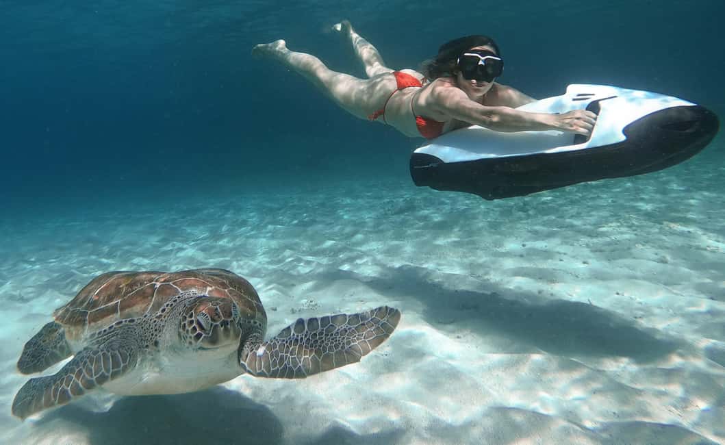 afbeelding n.2 van Curaçao: Playa Piskado Seabob Avontuur (Zeeschildpadden) activiteit in Curaçao, geüpload door aanbieder