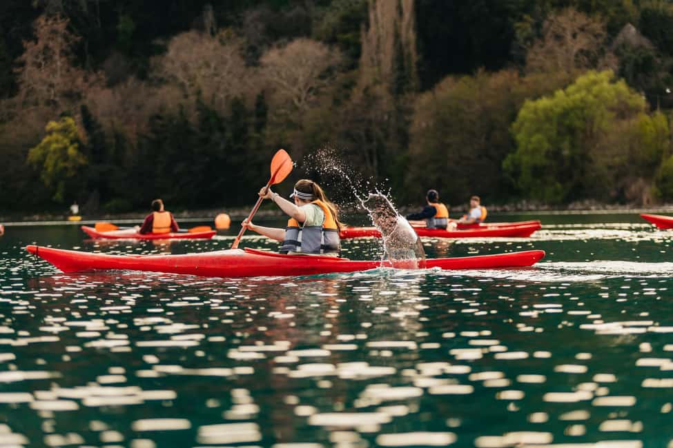 Image N°8 de Rome : Lac des Papes, excursion en kayak avec baignade et pizza romaine activité à Latium, publiée par le prestataire