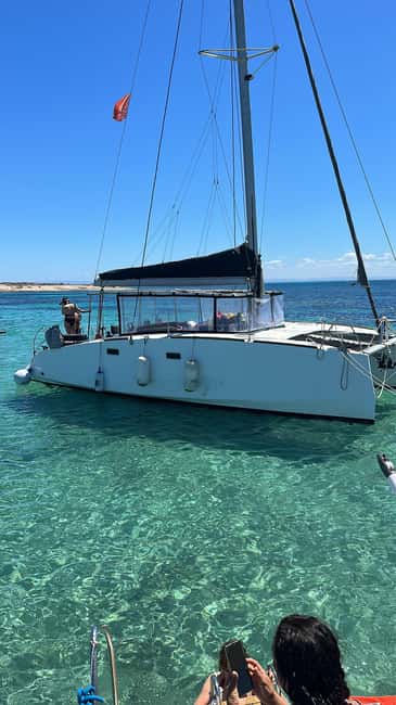 image n.7 of Stintino: full day tour catamaran Asinara Island activity in Sardinia, uploaded by supplier