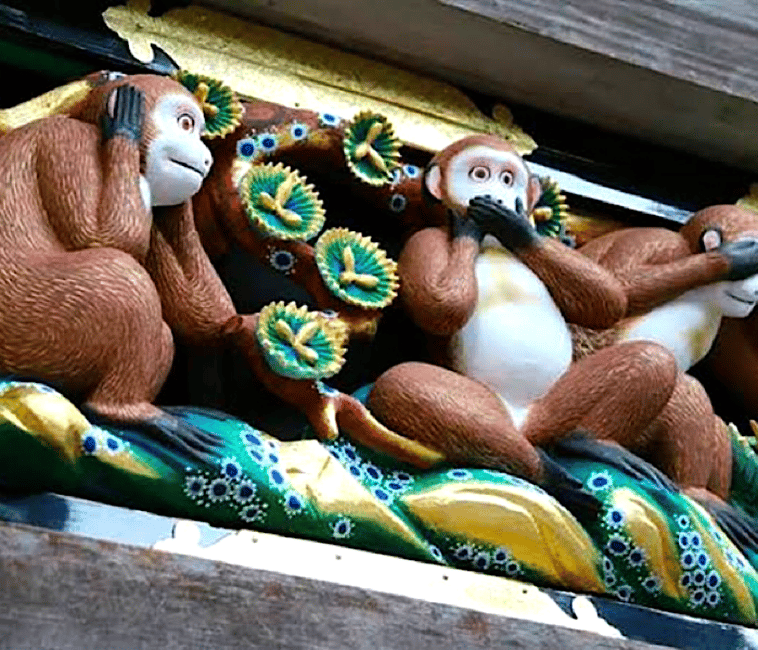 Immagine nº 3 di Tokyo: Escursione privata di un giorno a Nikko, patrimonio dell'umanità attività a Nikkō, caricata dal fornitore