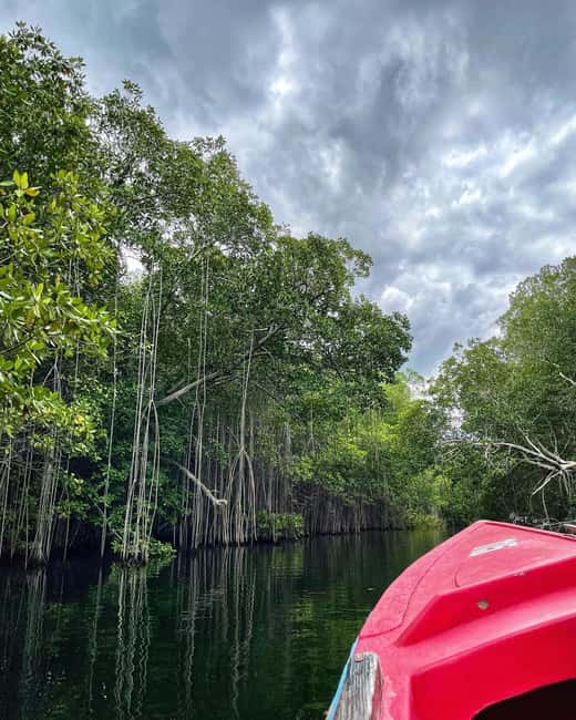 imagem n.8 de Floyd's Pelican Bar, Ys Falls e Black River Safari Tour atividade em Montego Bay, carregada pelo fornecedor
