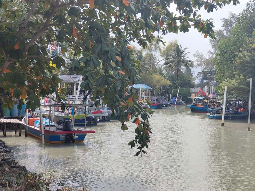 image n.6 of George Town: Balik Pulau Countryside Morning Cycling Tour activity in George Town, Malaysia, uploaded by supplier