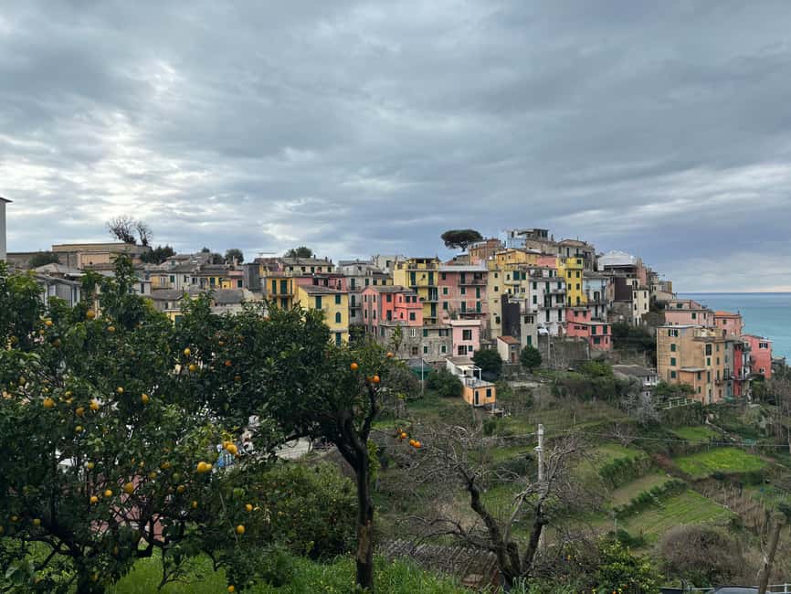 bild nr.11 av Cinque Terre: Privat dagsutflykt från Florens aktivitet i Florens, uppladdad av arrangören