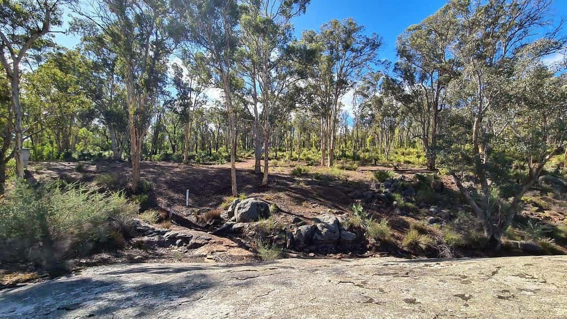 image n.4 of Perth: Hike & Meditation with Morning Tea activity in Perth, uploaded by supplier