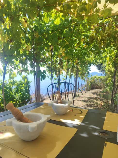 image n.4 of Volastra: BarCa Wine Tasting in Cinque Terre and Pesto Class activity in Volastra, uploaded by supplier