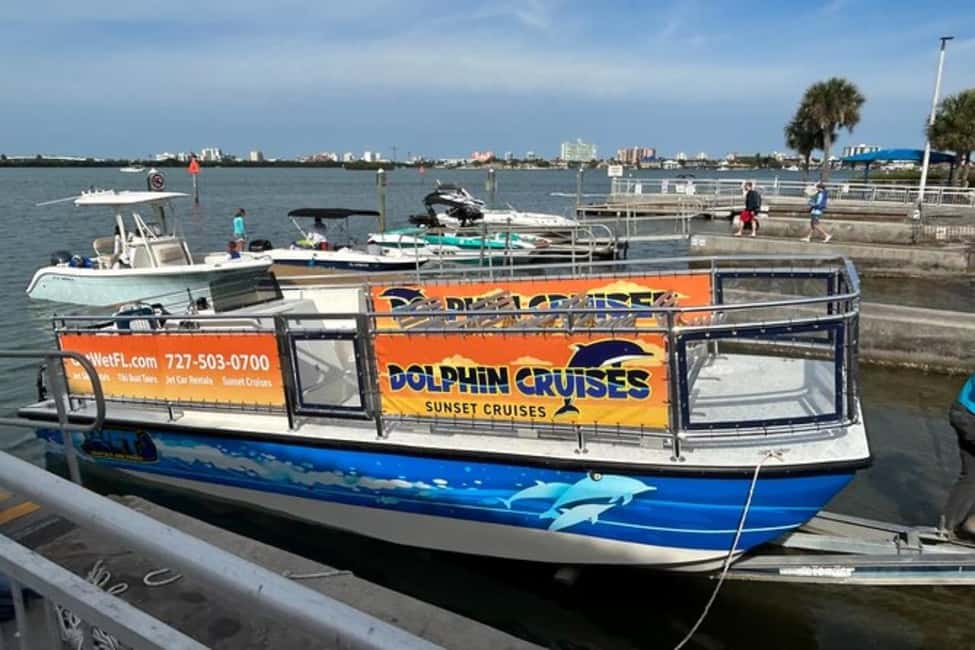 image n.2 of Clearwater Beach: Dolphin-Watching Sunset Cruise activity in Clearwater, uploaded by supplier