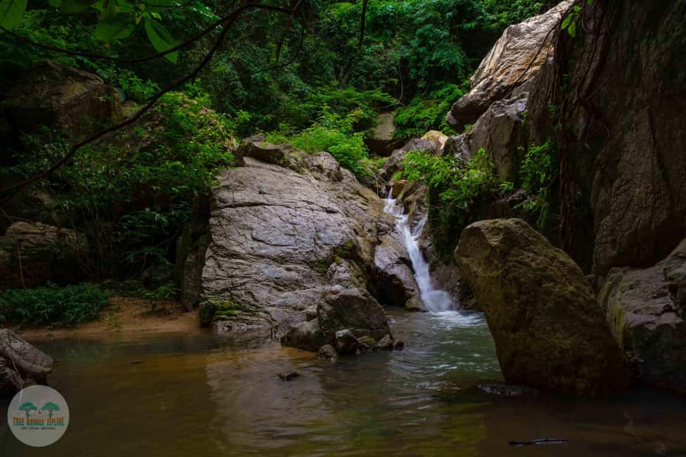 billede nr.22 af aktiviteten Fra Koh Samui: Tree Bridge Zipline og caféoplevelse i Thailandbugten, uploadet af udbyder