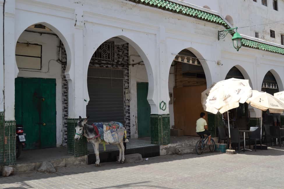 billede nr.138 af aktiviteten Dagstur fra Fes til Volubilis via Meknes og Moulay Idriss i Meknès, uploadet af udbyder