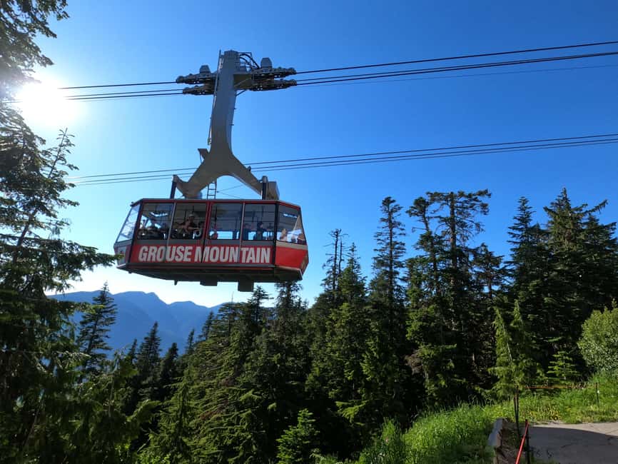 image n.2 of Capilano Bridge, Grouse Mountain, Stanley Park & Gastown activity in Vancouver, uploaded by supplier