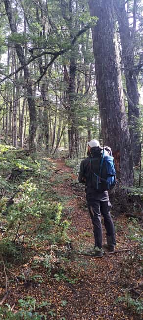 image n.3 of Lago Puelo: Andinean Day Hike activity in Chubut Province, uploaded by supplier