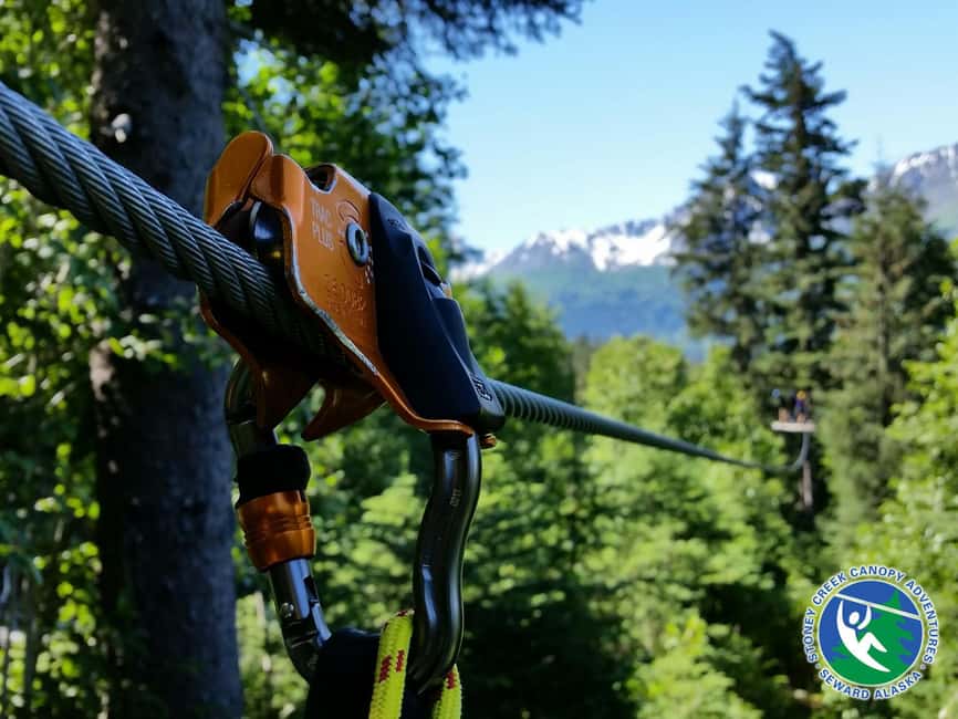 image n.1 of Seward: Stoney Creek Canopy Tour with Zipline activity in Seward, uploaded by supplier