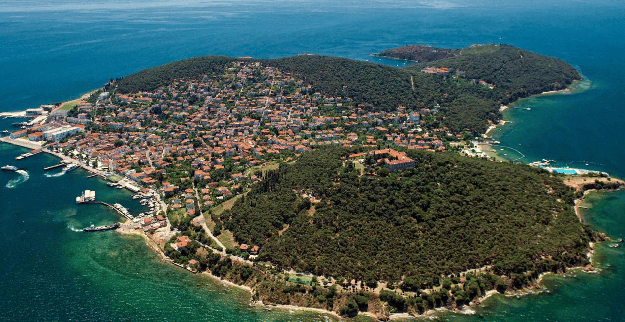 Immagine nº 10 di Istanbul: Tour delle Isole dei Principi con Heybeliada e Büyükada attività a Istanbul, caricata dal fornitore