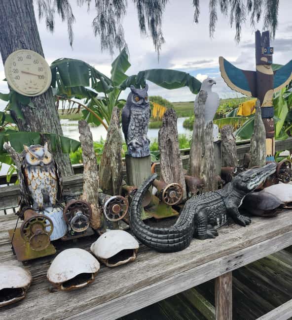 bild nr.9 av Miami: Everglades Airboat Eco Tour med lyxig transport aktivitet i Florida, uppladdad av arrangören