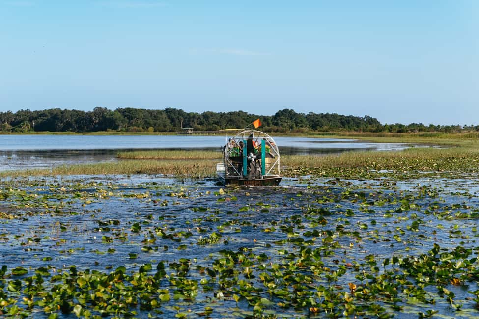 bild nr.4 av Kissimmee: Everglades Airboat Adventure Tour aktivitet i Florida, uppladdad av arrangören