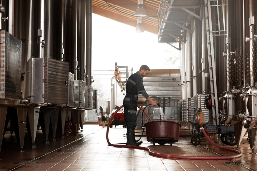 Obraz nr 11 z atrakcji Valdobbiadene: Degustacja Prosecco z wycieczką po winnicy i winiarni w Valdobbiadene, przesłany przez organizatora