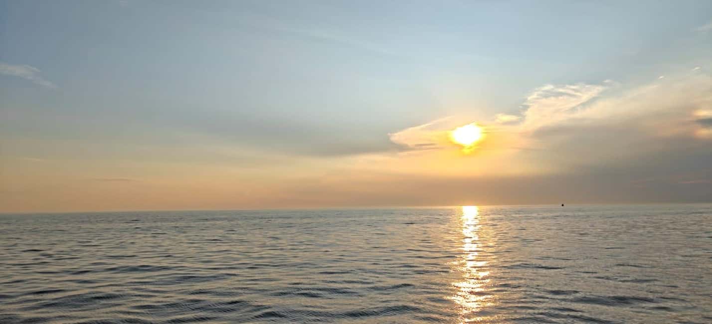 Bild Nr. 12 von Rovinj: Sonnenuntergangs- und Delfin-Gruppentouren mit dem Katamaran Aktivität in Rovinj, hochgeladen vom Anbieter