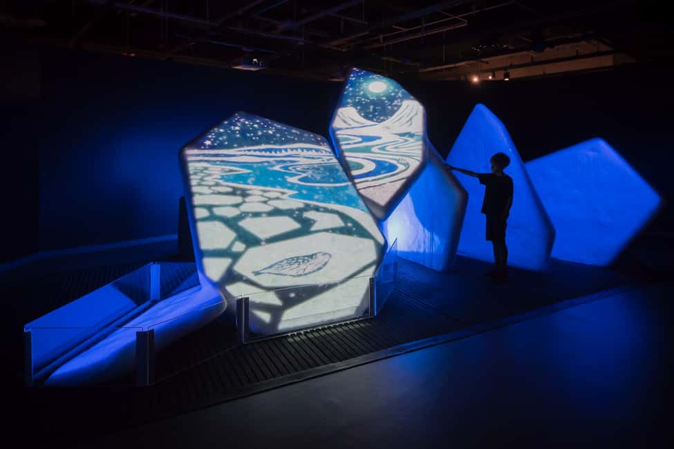 imagem n.6 de Otava: Ingresso no Museu Canadiano da Natureza atividade em Ottawa, carregada pelo fornecedor